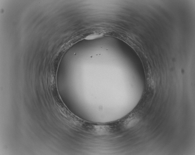 X0000055520371200509022130