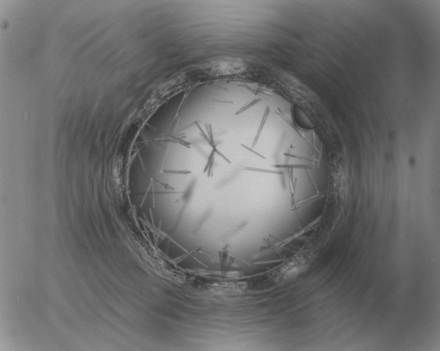 X0000055520373200509022130