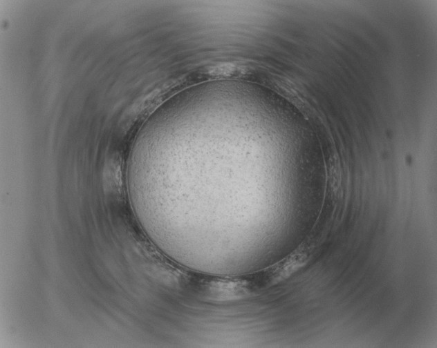 X0000055520375200509022130