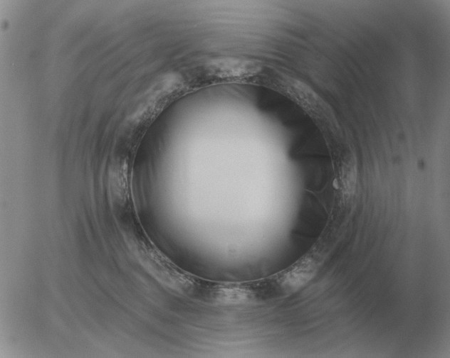 X0000055520376200509022130