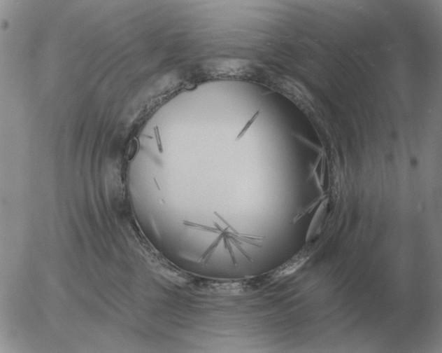 X0000055520377200509022130