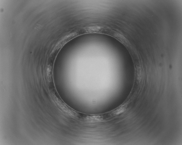 X0000055520378200509022130