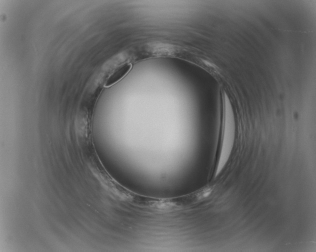 X0000055520379200509022130