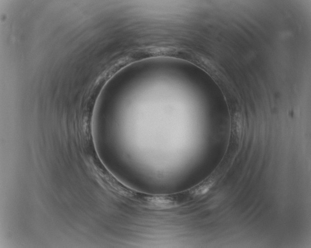 X0000055520380200509022130