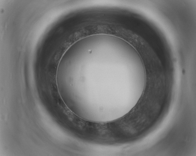 X0000055520382200509022130