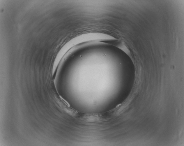 X0000055520384200509022130