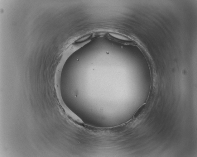 X0000055520385200509022129