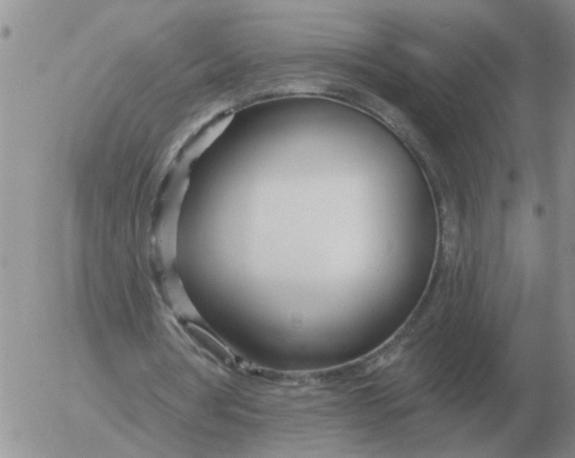 X0000055520386200509022129