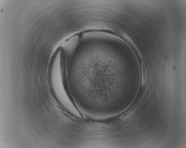 X0000055520387200509022129