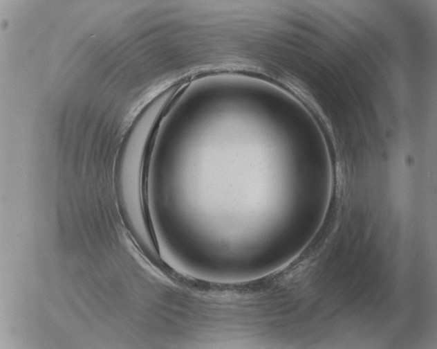 X0000055520389200509022129