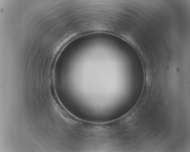 X0000055520390200509022129