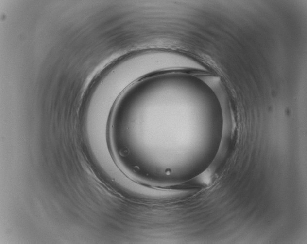 X0000055520392200509022129