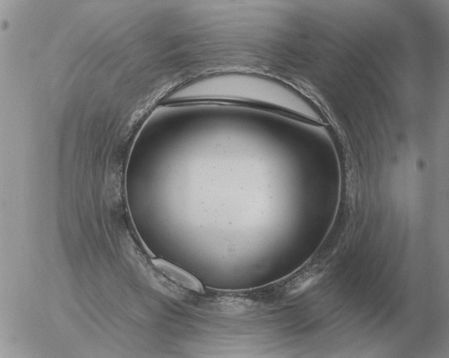 X0000055520393200509022129