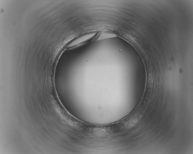 X0000055520394200509022129