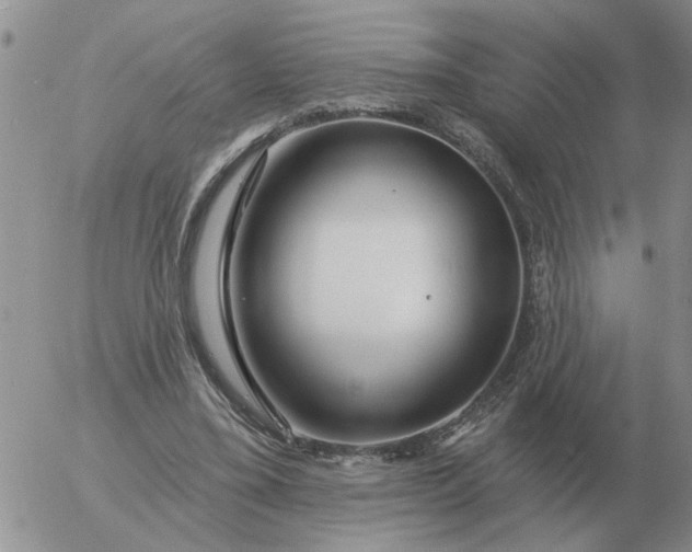 X0000055520395200509022129