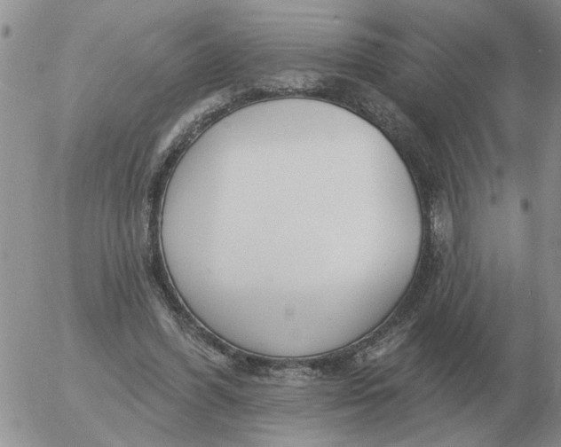 X0000055520396200509022129