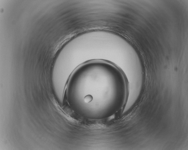 X0000055520397200509022129