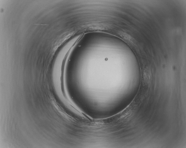 X0000055520398200509022129