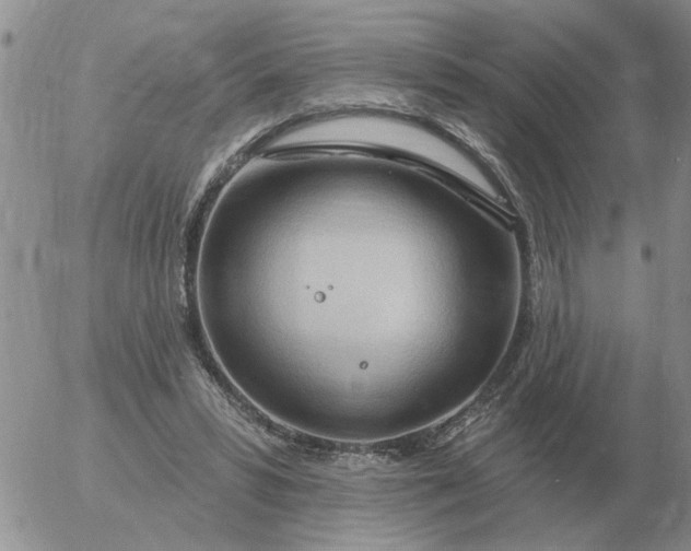 X0000055520399200509022129