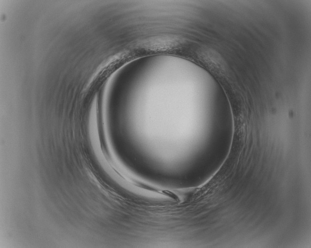 X0000055520400200509022129