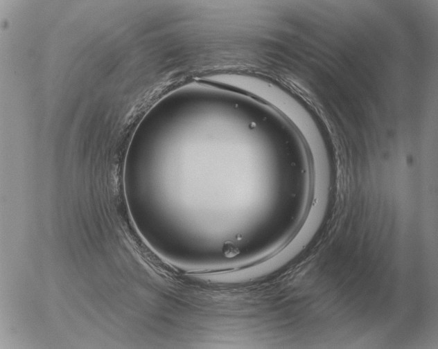 X0000055520401200509022129