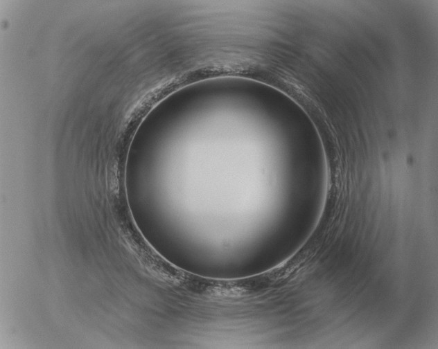 X0000055520403200509022129