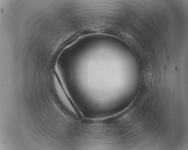 X0000055520404200509022129