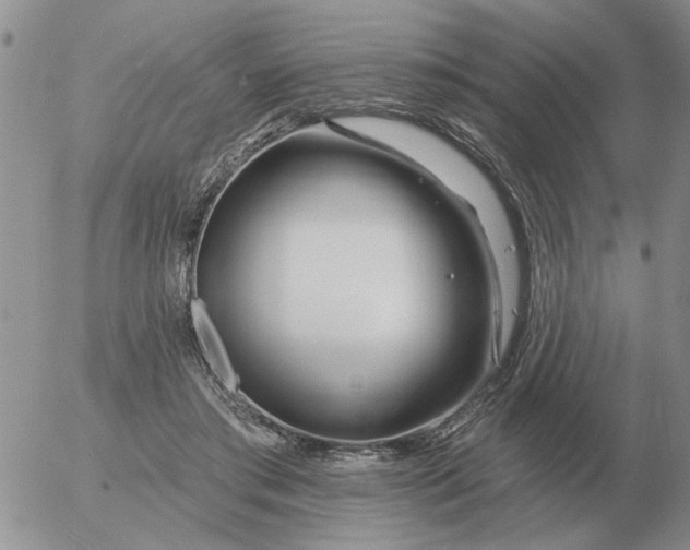 X0000055520405200509022129