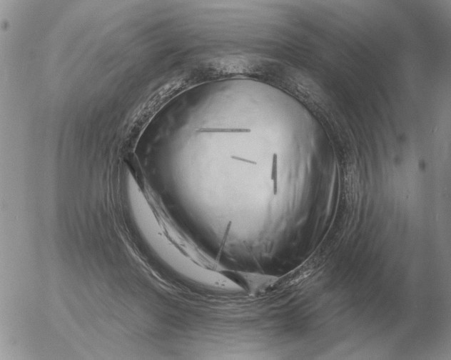 X0000055520406200509022129