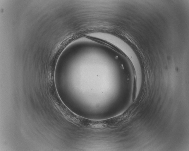 X0000055520407200509022129