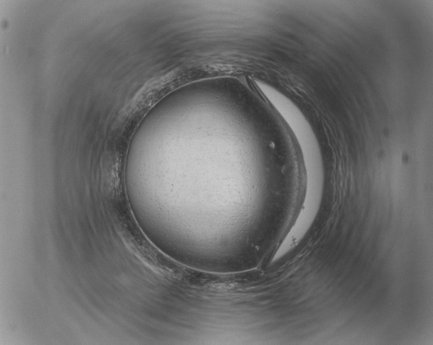 X0000055520408200509022129