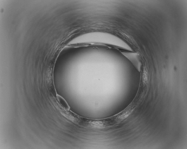 X0000055520409200509022129