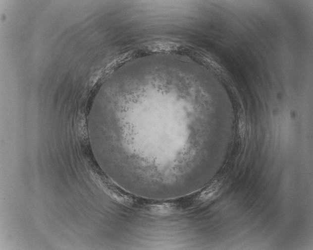 X0000055520411200509022129