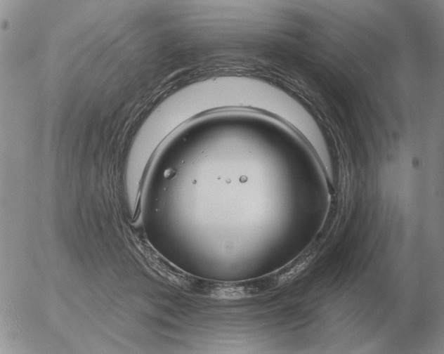 X0000055520413200509022129