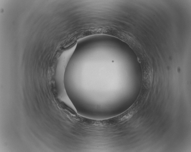 X0000055520416200509022129