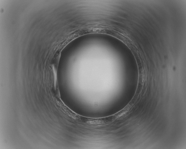 X0000055520417200509022129