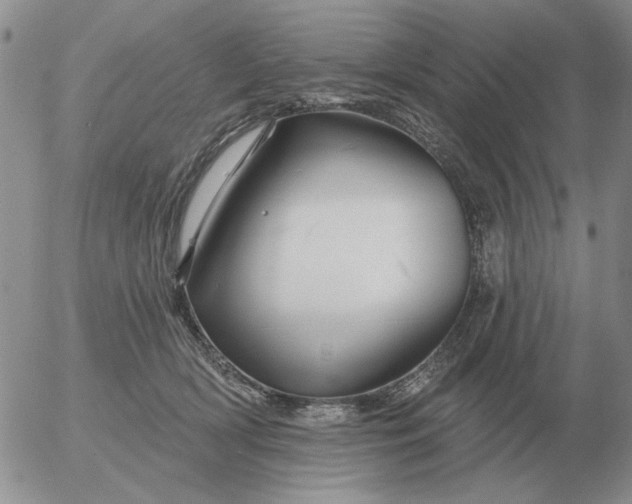 X0000055520418200509022129