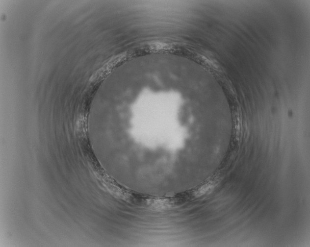 X0000055520419200509022129