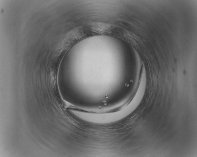 X0000055520420200509022129