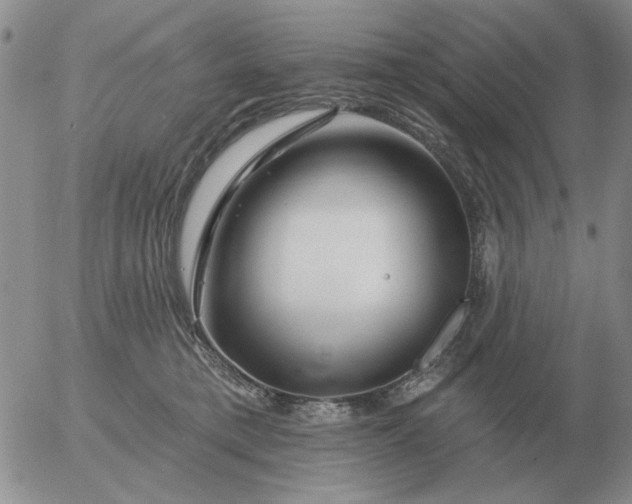 X0000055520421200509022129