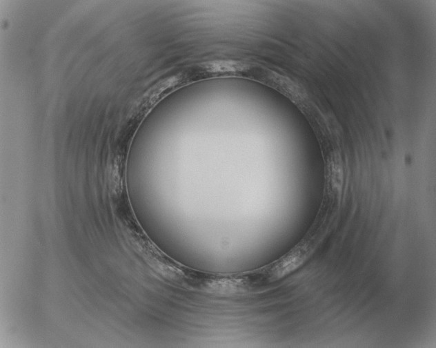 X0000055520422200509022128