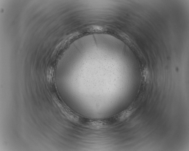 X0000055520423200509022128