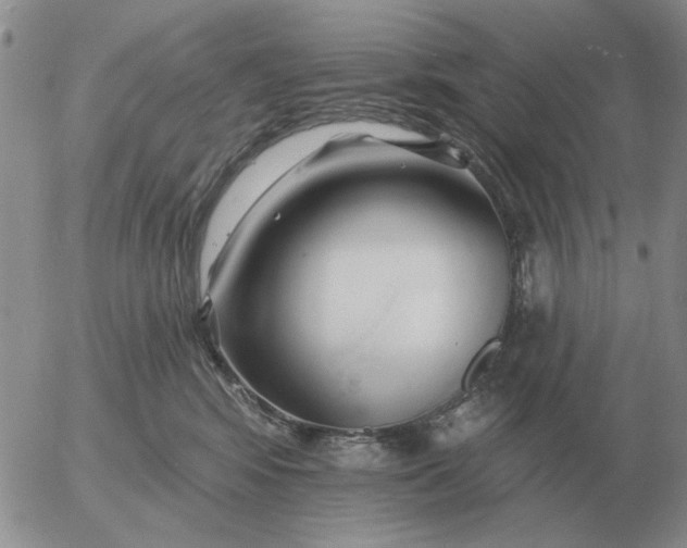 X0000055520424200509022128