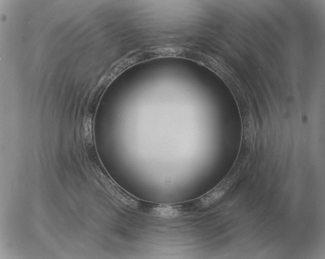 X0000055520425200509022128