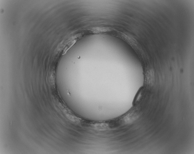 X0000055520426200509022128