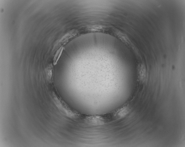 X0000055520427200509022128