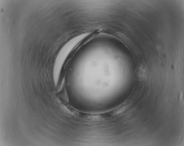 X0000055520428200509022128