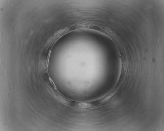 X0000055520429200509022128