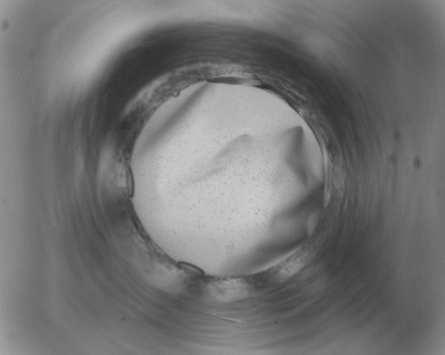 X0000055520431200509022128