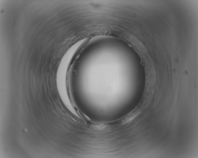 X0000055520432200509022128